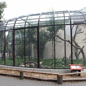 Bird house - Fossa outdoor exhibit