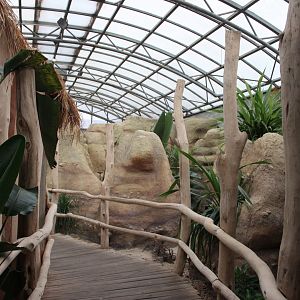 Bird house - Madagascar hall - View from the entrance