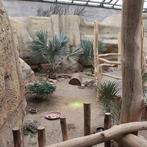 Bird house - Madagascar hall - Radiated tortoise exhibit