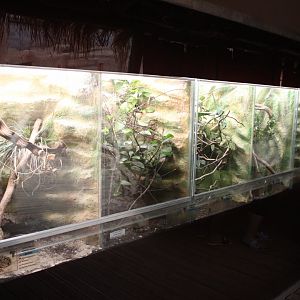 Bird house - Madagascar hall - Terrarium part