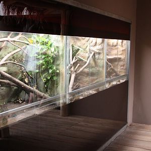 Bird house - Madagascar hall - Terrarium part