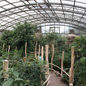Bird house - Equatorial jungle section - Upper level view