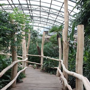 Bird house - Equatorial jungle section - Ground level view