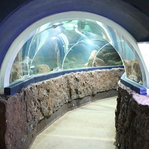 Tunnel aquarium