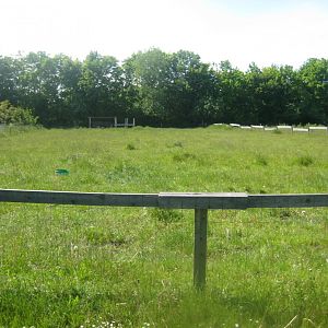 Økologiens Have - Cattle exhibit