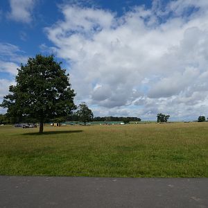 Southern White Rhino and Antelope drive-through enclosure