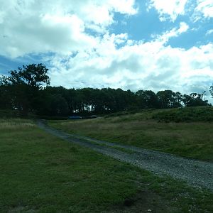 American Black Bear and Wolf drive-through enclosure