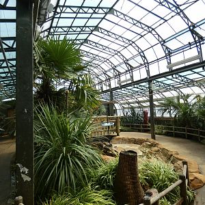 Lorikeet walk-through