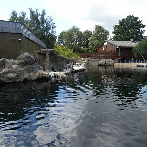 Temporary Penguin enclosure