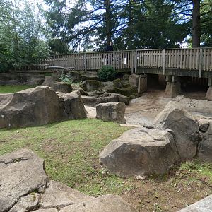 Chelonia Pathways (Aldabra Giant Tortoise enclosure)