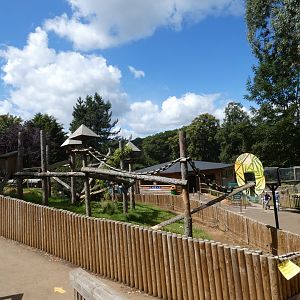 Himalayan Heights (Red Panda enclosure)