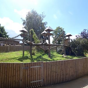 Himalayan Heights (Red Panda enclosure 2)