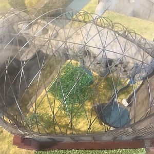 Model of griffon vulture and waldrap ibis aviary