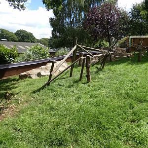 Marmotopia (Common Marmoset and Agouti enclosure)