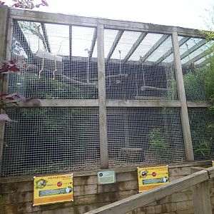 Macaw aviary