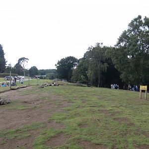 Bennett's Wallaby and Greater Rhea enclosure