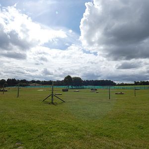 Asian Elephant cow enclosure (2)