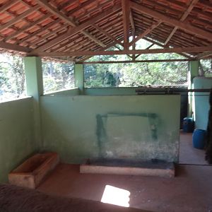 South-american-tapir's exhibit's backstage area - Belo Horizonte zoo