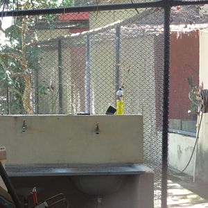 Backstage area of a small complex of tropical birds exhibits on the zoo's entrance - Belo Horizonte zoo