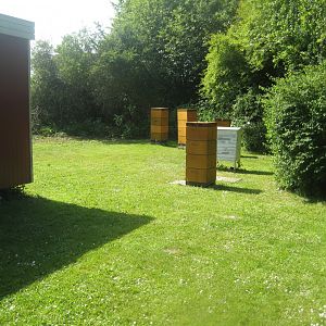 Økologiens Have - Apiary