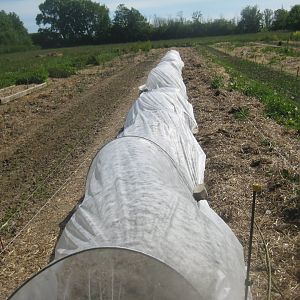 Økologiens Have - Community garden