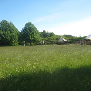 Økologiens Have - Market place and playground