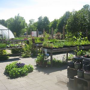 Økologiens Have - Plant sale