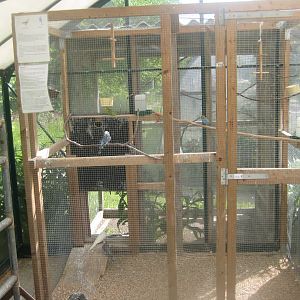 Økologiens Have - Parrot aviary (indoor)