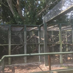 Part of Scottish Wildcat enclosure