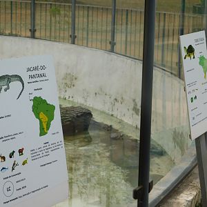 Caimans and sliders information sign - Brasilia zoo