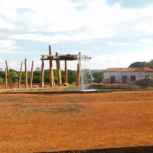 African-elephant main exhibit - Brasilia zoo