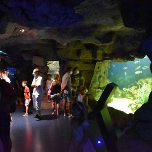 Mediterranean Zone - Rock crevasses