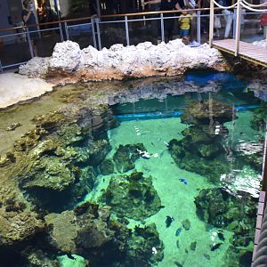 Half of reef tank from above (deeper area)
