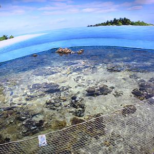 Other half of reef tank (shallow area)