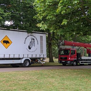ZSL Whipsnade Zoo White Rhino