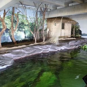 Main tank on the zoo's thematic freshwater aquarium - Belo Horizonte zoo