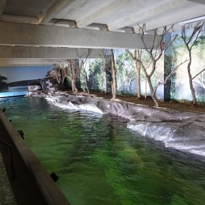 Main tank on the zoo's thematic freshwater aquarium - Belo Horizonte zoo