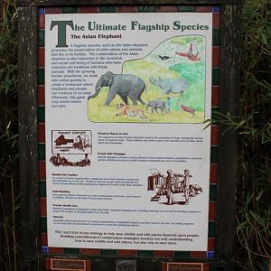Vanishing Giants/Elephant Reserve Signage