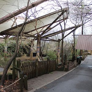 Wildlife Canyon- Sumatran Rhino Exhibit
