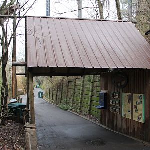 Wildlife Canyon- Sumatran Rhino Exhibit