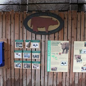 Wildlife Canyon- Sumatran Rhino Exhibit