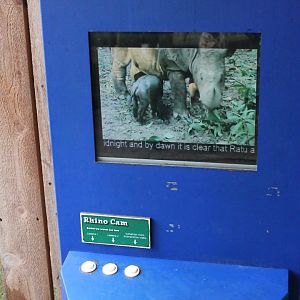 Wildlife Canyon- Sumatran Rhino Exhibit