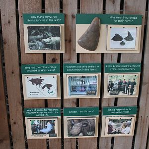 Wildlife Canyon- Sumatran Rhino Exhibit