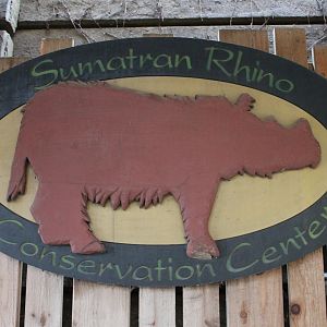 Wildlife Canyon- Sumatran Rhino Exhibit