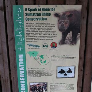 Wildlife Canyon- Sumatran Rhino Exhibit