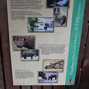 Wildlife Canyon- Sumatran Rhino Exhibit