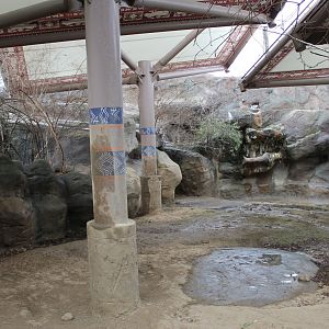 Wildlife Canyon- Sumatran Rhino Exhibit
