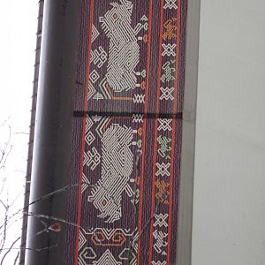 Wildlife Canyon- Sumatran Rhino Exhibit