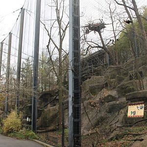 Wildlife Canyon/Eagle Eyrie- Andean Condor Exhibit