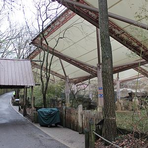 Wildlife Canyon- Sumatran Rhino Exhibit